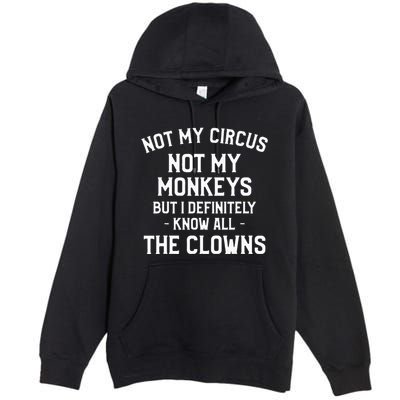 Not My Circus Not My Monkeys But I Definitely Know Nanny Premium Pullover Hoodie