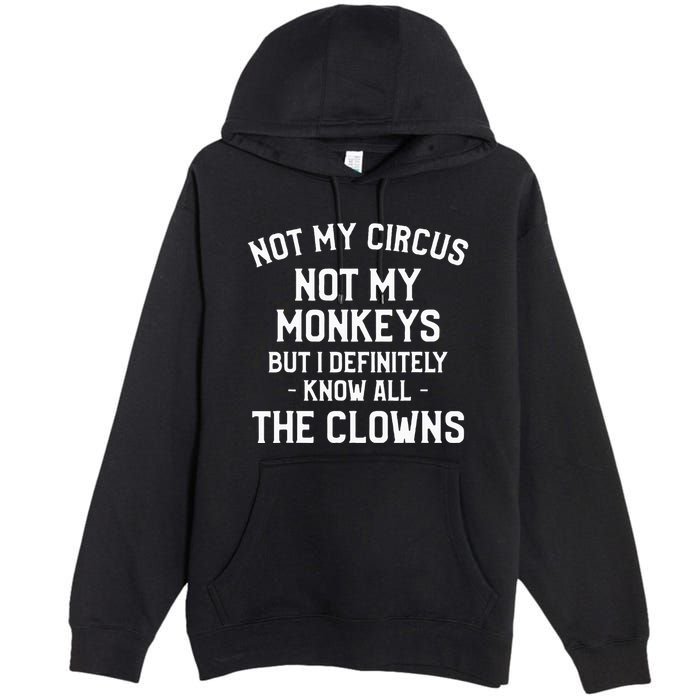 Not My Circus Not My Monkeys But I Definitely Know Nanny Premium Pullover Hoodie