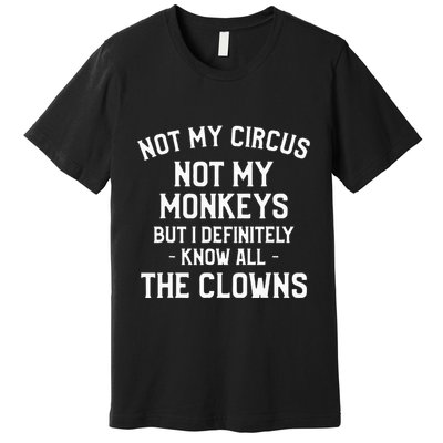 Not My Circus Not My Monkeys But I Definitely Know Nanny Premium T-Shirt