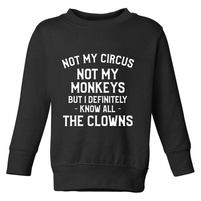 Not My Circus Not My Monkeys But I Definitely Know Nanny Toddler Sweatshirt