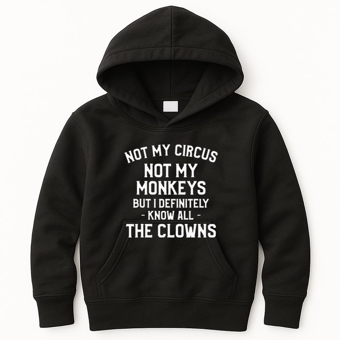 Not My Circus Not My Monkeys But I Definitely Know Nanny Kids Hoodie