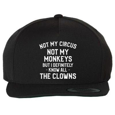 Not My Circus Not My Monkeys But I Definitely Know Nanny Wool Snapback Cap