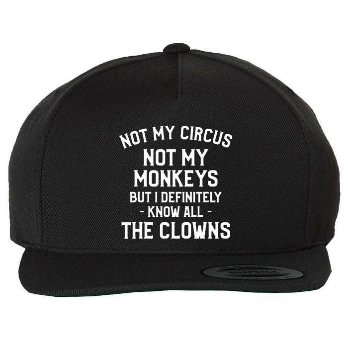 Not My Circus Not My Monkeys But I Definitely Know Nanny Wool Snapback Cap