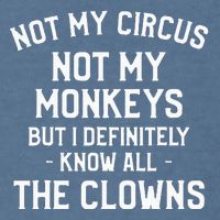 Not My Circus Not My Monkeys But I Definitely Know Nanny Garment-Dyed Sweatshirt