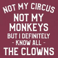 Not My Circus Not My Monkeys But I Definitely Know Nanny 16oz Travel Tumbler