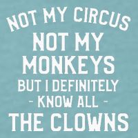 Not My Circus Not My Monkeys But I Definitely Know Nanny Sueded Cloud Jersey T-Shirt