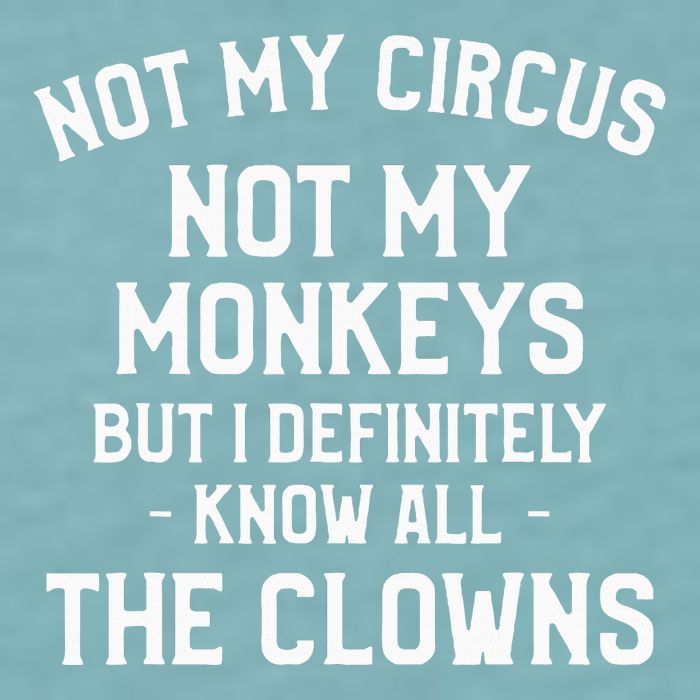 Not My Circus Not My Monkeys But I Definitely Know Nanny Sueded Cloud Jersey T-Shirt