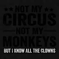 Not My Circus Not My Monkeys But I Definitely Know All The Clowns Funny Saying Ladies PosiCharge Tri-Blend Wicking Tank