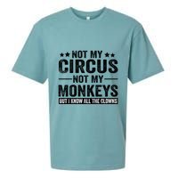 Not My Circus Not My Monkeys But I Definitely Know All The Clowns Funny Saying Sueded Cloud Jersey T-Shirt