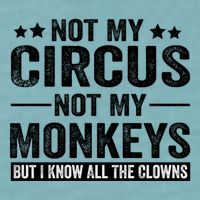 Not My Circus Not My Monkeys But I Definitely Know All The Clowns Funny Saying Sueded Cloud Jersey T-Shirt