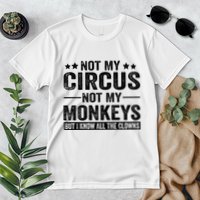 Not My Circus Not My Monkeys But I Definitely Know All The Clowns Funny Saying Premium T-Shirt