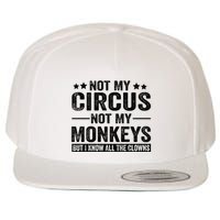 Not My Circus Not My Monkeys But I Definitely Know All The Clowns Funny Saying Wool Snapback Cap