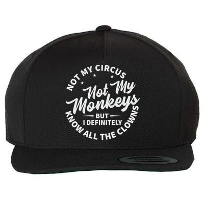 Not My Circus Not My Monkeys But I Definitely Know All The Clowns Funny Saying Wool Snapback Cap