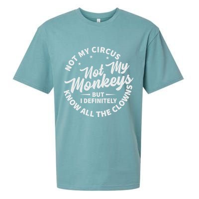 Not My Circus Not My Monkeys But I Definitely Know All The Clowns Funny Saying Sueded Cloud Jersey T-Shirt