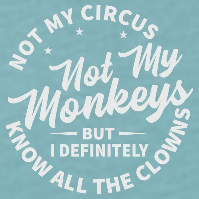 Not My Circus Not My Monkeys But I Definitely Know All The Clowns Funny Saying Sueded Cloud Jersey T-Shirt