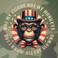 Not My Circus Not My Monkeys But I Know All The Clowns Legacy Tie Dye Trucker Hat