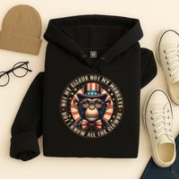 Not My Circus Not My Monkeys But I Know All The Clowns Hoodie