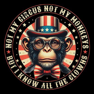 Not My Circus Not My Monkeys But I Know All The Clowns T-Shirt