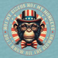 Not My Circus Not My Monkeys But I Know All The Clowns Sueded Cloud Jersey T-Shirt