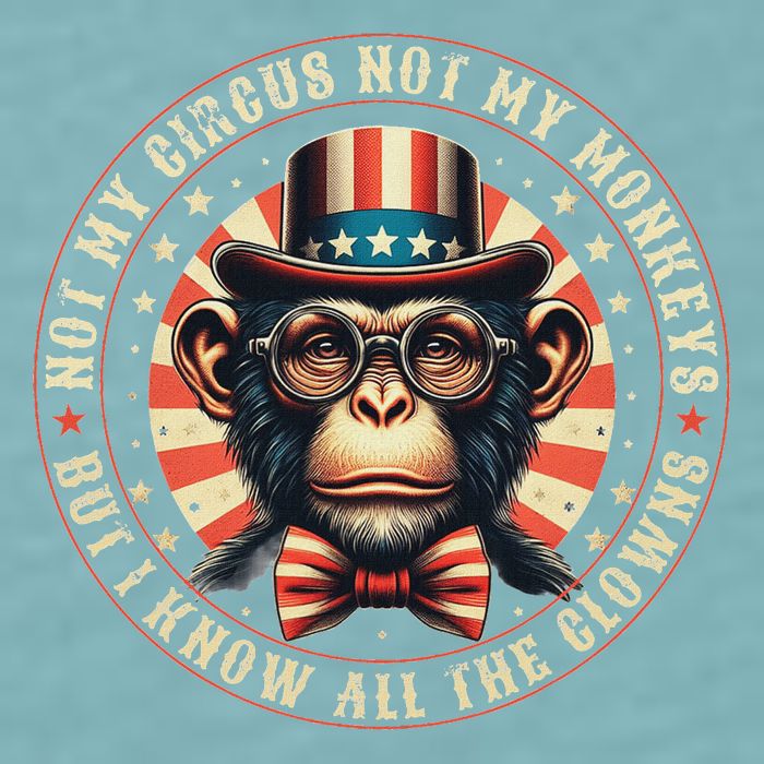 Not My Circus Not My Monkeys But I Know All The Clowns Sueded Cloud Jersey T-Shirt