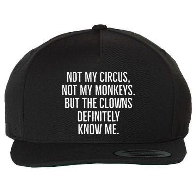 Not My Circus Not My Monkeys But The Clowns Definitely Know Wool Snapback Cap