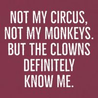 Not My Circus Not My Monkeys But The Clowns Definitely Know 16oz Travel Tumbler