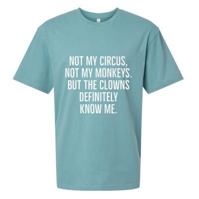 Not My Circus Not My Monkeys But The Clowns Definitely Know Sueded Cloud Jersey T-Shirt