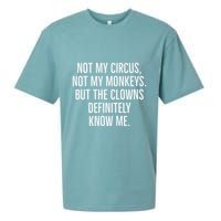 Not My Circus Not My Monkeys But The Clowns Definitely Know Sueded Cloud Jersey T-Shirt