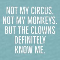 Not My Circus Not My Monkeys But The Clowns Definitely Know Sueded Cloud Jersey T-Shirt