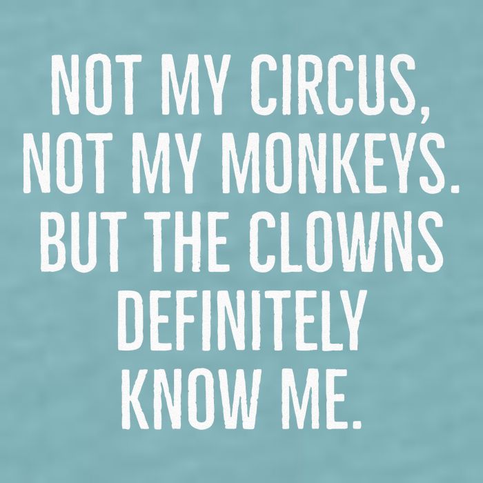 Not My Circus Not My Monkeys But The Clowns Definitely Know Sueded Cloud Jersey T-Shirt