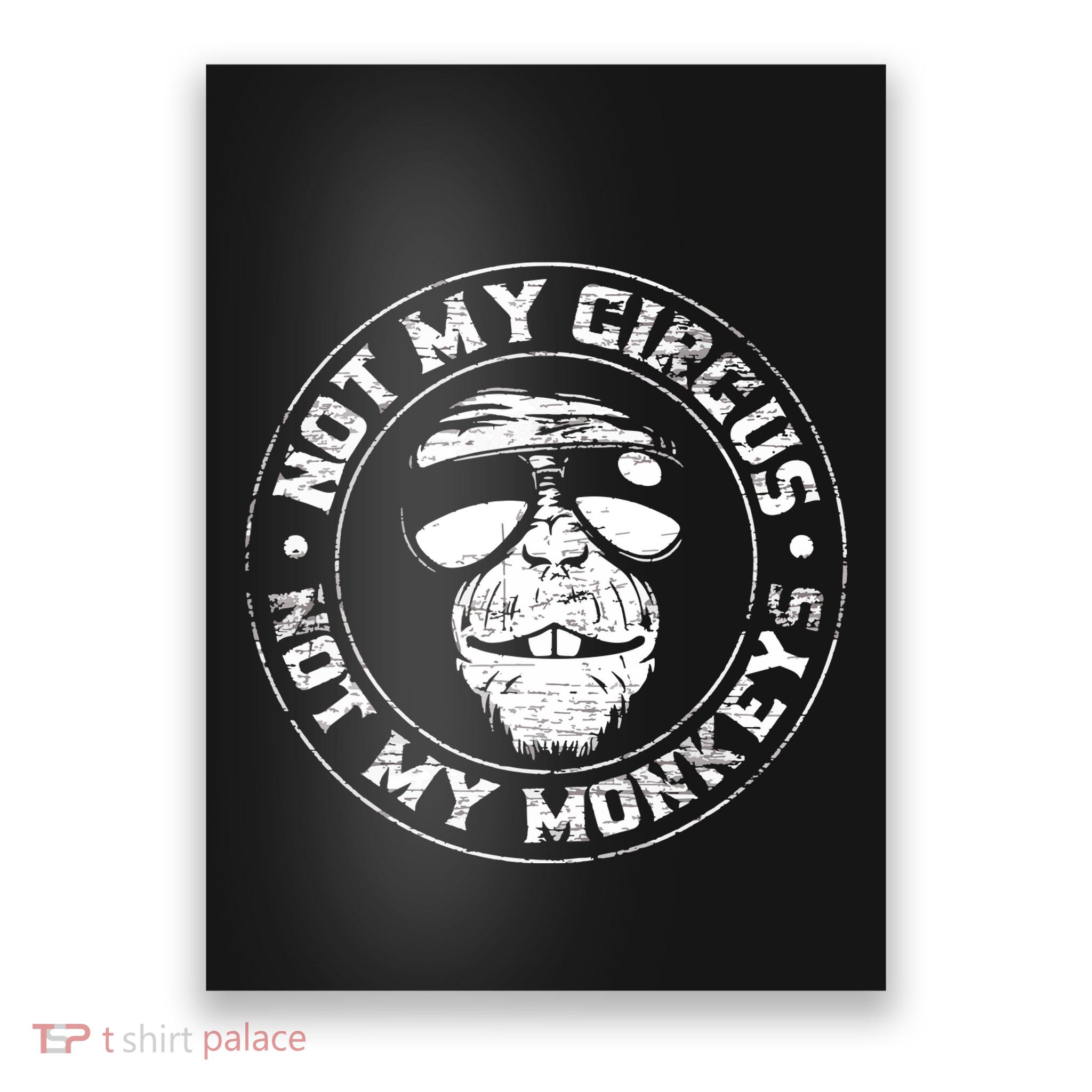 Not My Circus Not My Monkeys Poster