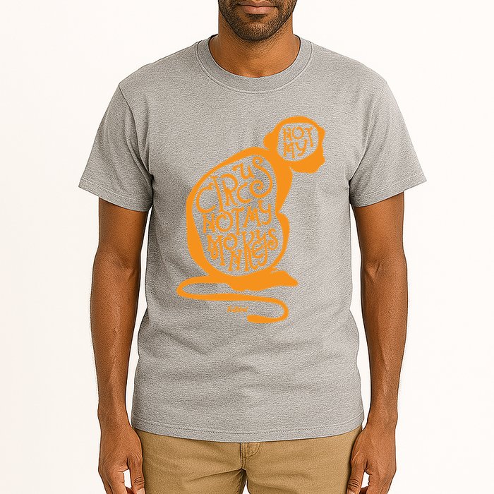 Not My Circus Not My Monkeys Tall T-Shirt