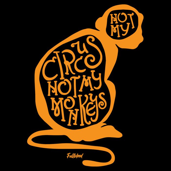 Not My Circus Not My Monkeys Mug