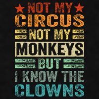 Not My Circus Not My Monkeys But I Know The Clowns Ladies PosiCharge Tri-Blend Wicking Tank