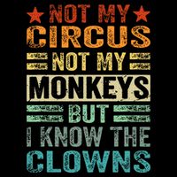 Not My Circus Not My Monkeys But I Know The Clowns 7-Panel Snapback Hat