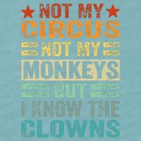 Not My Circus Not My Monkeys But I Know The Clowns Sueded Cloud Jersey T-Shirt