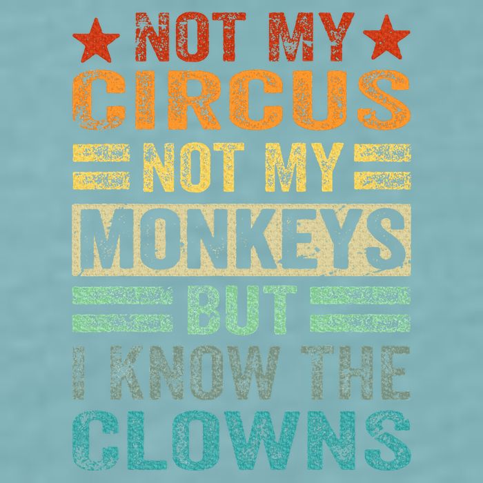Not My Circus Not My Monkeys But I Know The Clowns Sueded Cloud Jersey T-Shirt