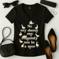 No My Ducks Are Certainly Not In A Row Lose Control Women's V-Neck T-Shirt