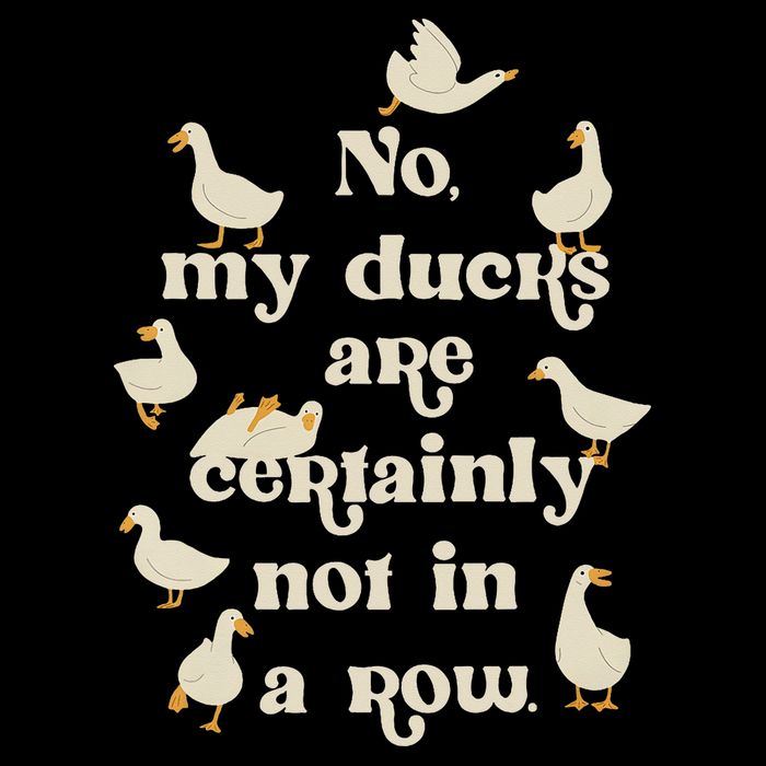 No My Ducks Are Certainly Not In A Row Lose Control Premium T-Shirt