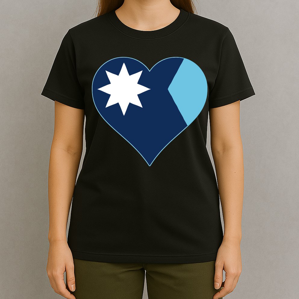New Minnesota Flag T-Shirt