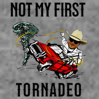 Not My First Tornadeo Not My First Tornado Toddler Hoodie