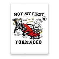 Not My First Tornadeo Not My First Tornado Poster