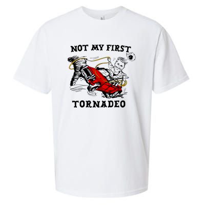 Not My First Tornadeo Not My First Tornado Sueded Cloud Jersey T-Shirt