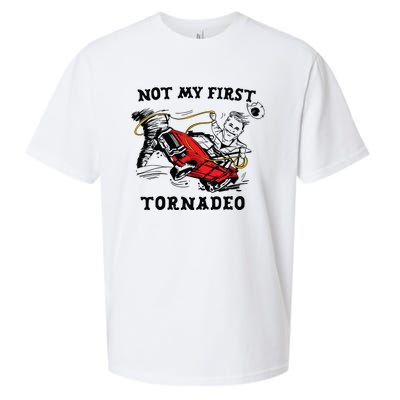 Not My First Tornadeo Not My First Tornado Sueded Cloud Jersey T-Shirt