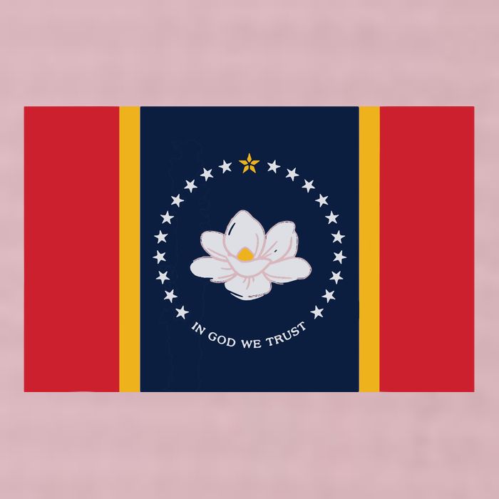 New Mississippi Flag In God We Trust Magnolia 25L Jumbo Tote