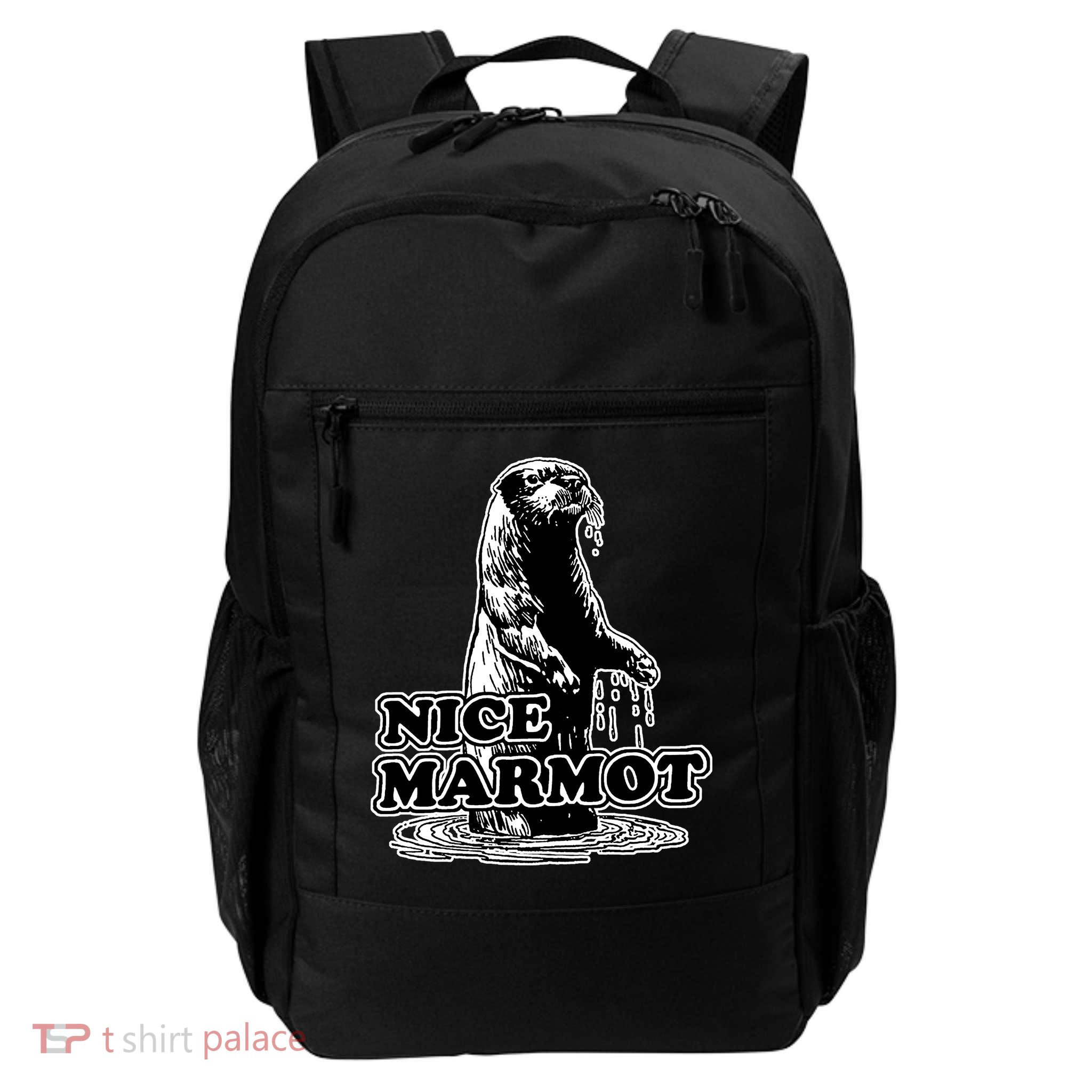 Nice Marmot Daily Commute Backpack