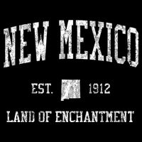 New Mexico Toddler Hoodie