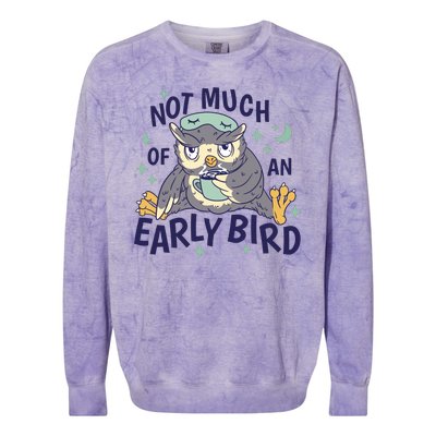 Not Much Of An Early Bird Owl Colorblast Crewneck Sweatshirt