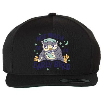 Not Much Of An Early Bird Owl Wool Snapback Cap