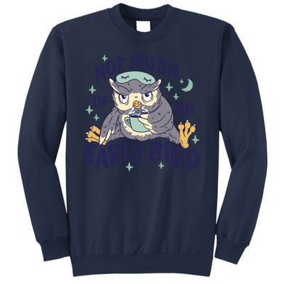 Not Much Of An Early Bird Owl Sweatshirt